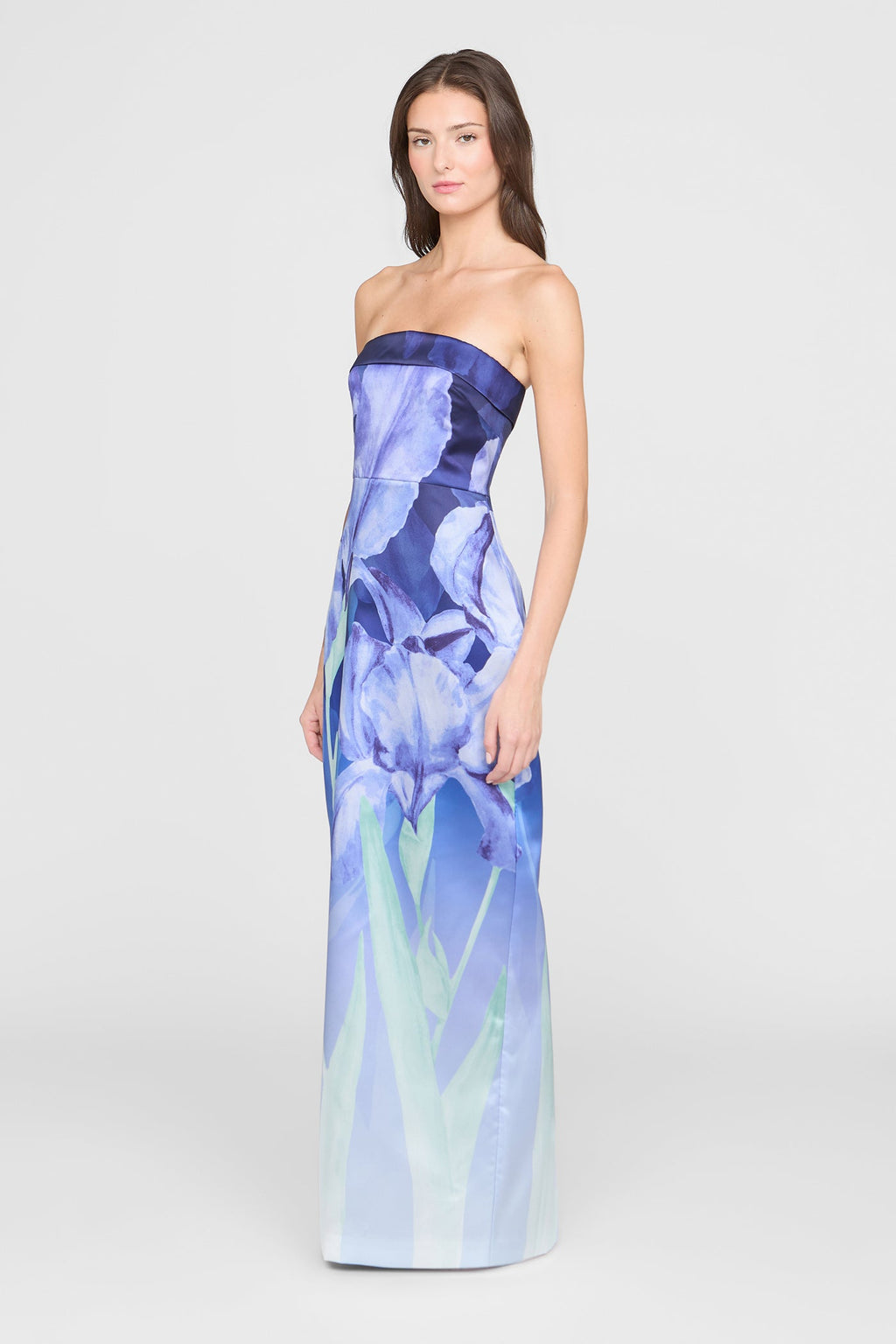 Cyrilla Strapless Column Gown