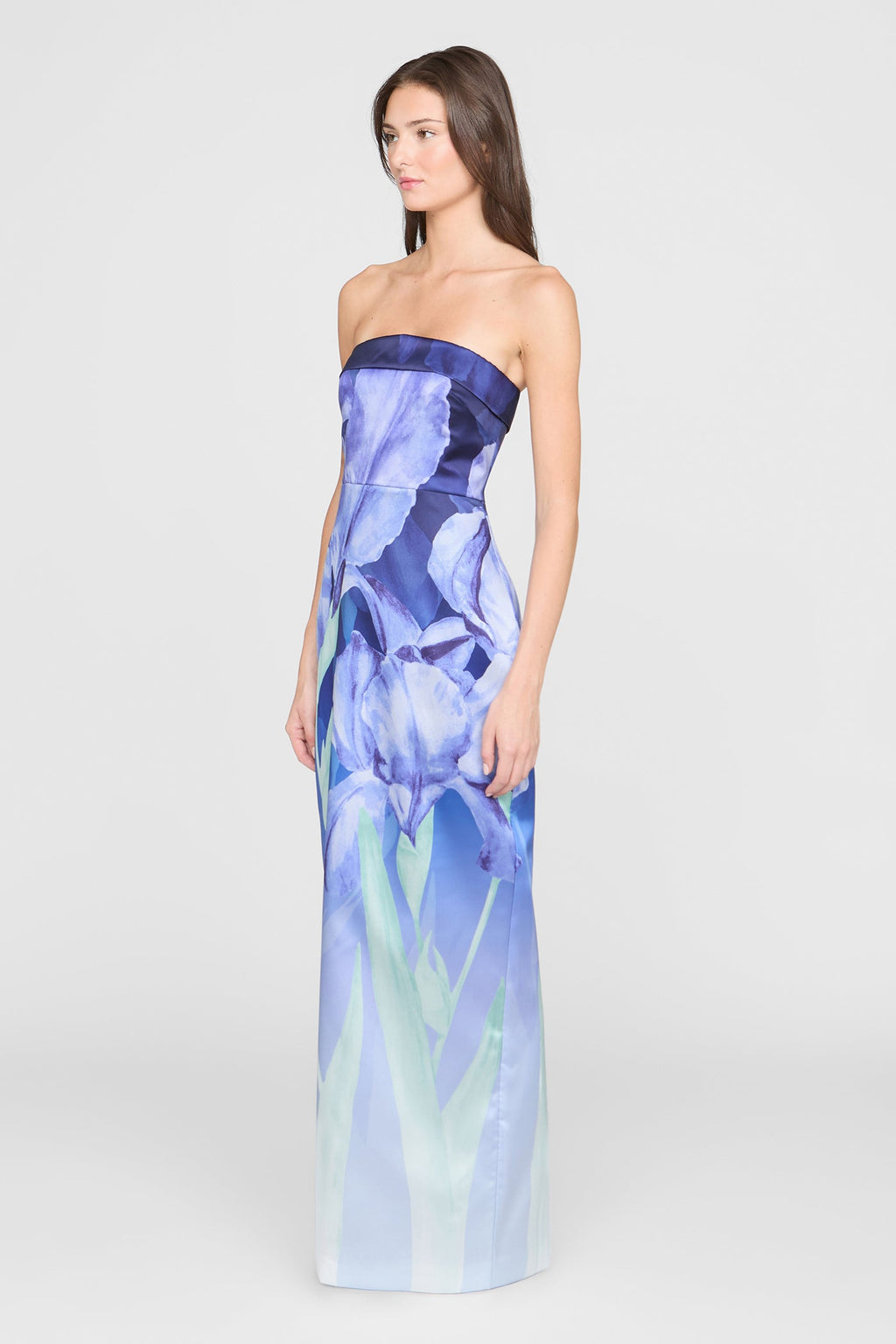 Cyrilla Strapless Column Gown