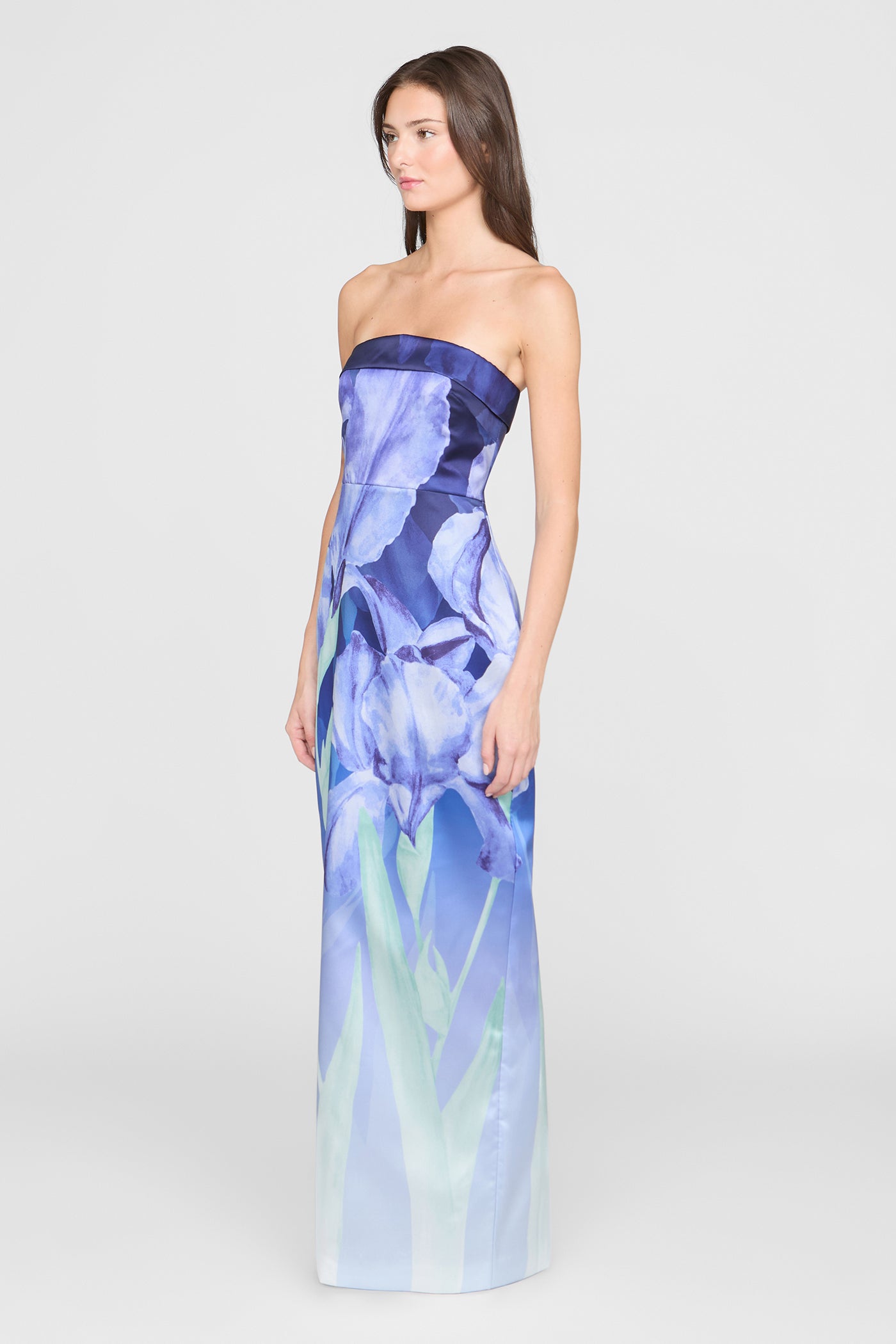 Cyrilla Strapless Column Gown